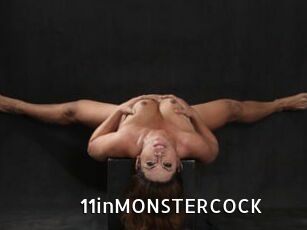 11inMONSTERCOCK