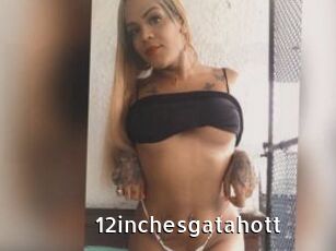 12inchesgatahott