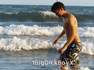 1BigDickBoyX