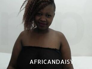 AFRICANDAISY