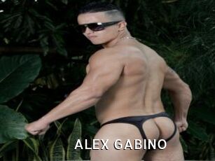 ALEX_GABINO