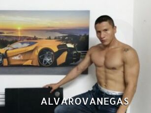 ALVAROVANEGAS My Porno Stash