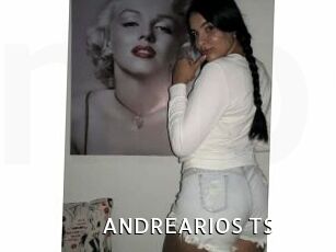 ANDREARIOS_TS