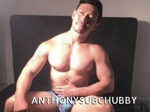 ANTHONYSUBCHUBBY