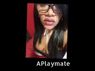APlaymate My Porno Stash
