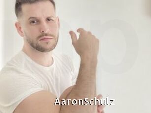 AaronSchulz