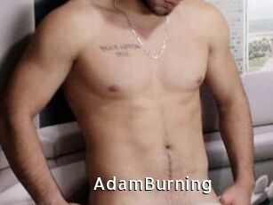 AdamBurning