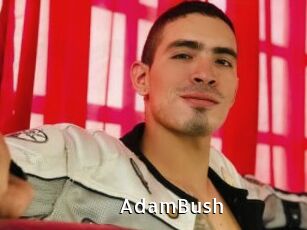AdamBush