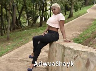 AdwuaShayk