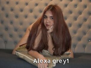Alexa_grey1
