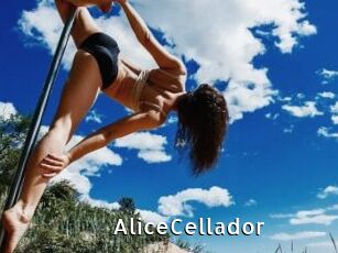AliceCellador