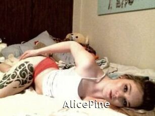 AlicePine