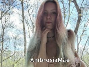AmbrosiaMae
