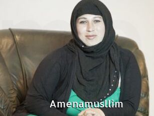 Amenamusllim