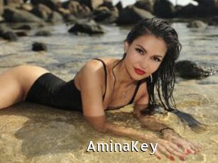 AminaKey