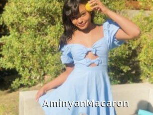 AminyanMacaron