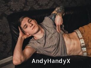 AndyHandyX