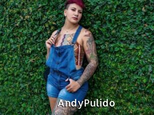 AndyPulido
