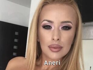 Aneri