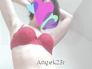Angek23r