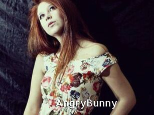 AngryBunny