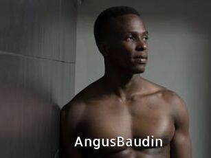 AngusBaudin