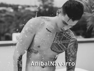 AnibalNavarro
