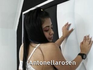 Antonellarosen