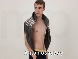 AntonioShyBoy