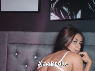 AriaBroke