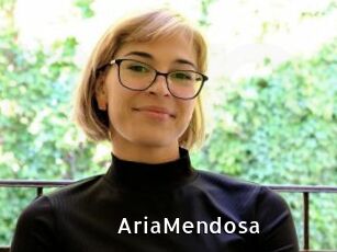 AriaMendosa