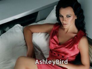 AshleyBird