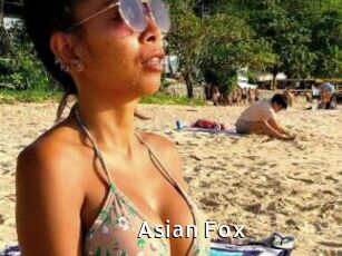 Asian_Fox