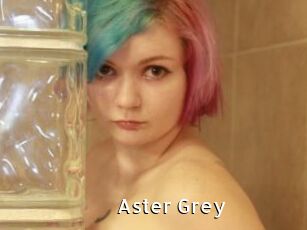 Aster_Grey