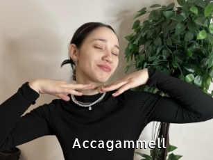 Accagammell
