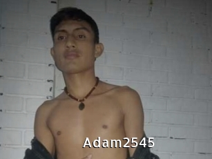 adam2545 My Porno Stash