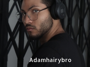 adamhairybro My Porno Stash