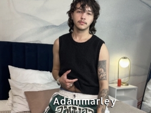 adammarley My Porno Stash