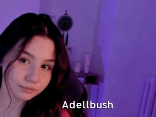 Adellbush
