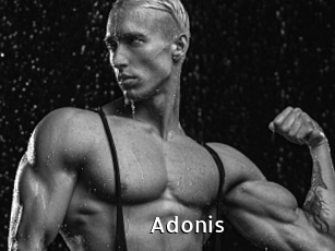 Adonis