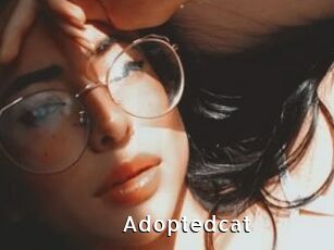 Adoptedcat