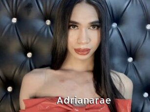 Adrianarae