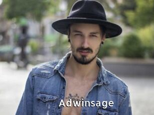 Adwinsage