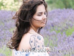 Aerinbaudelaire