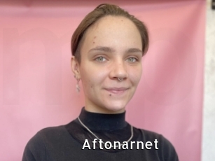 Aftonarnet