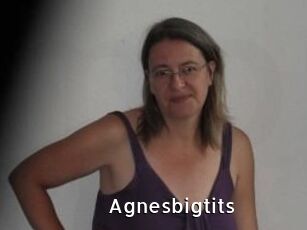 Agnesbigtits