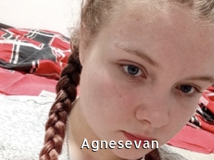 Agnesevan