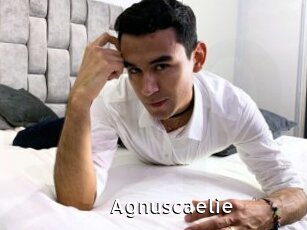 Agnuscaelie