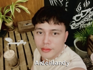 aidenlandy My Porno Stash