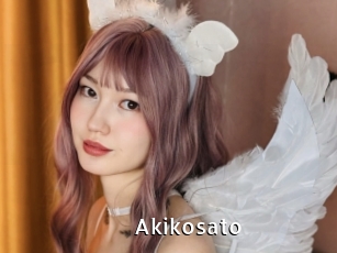 akikosato My Porno Stash